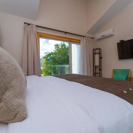 Hotel Casa Solaria 푸콘 외부 사진